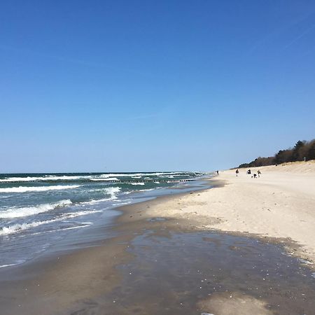 Seepferdchen Zingst Dış mekan fotoğraf