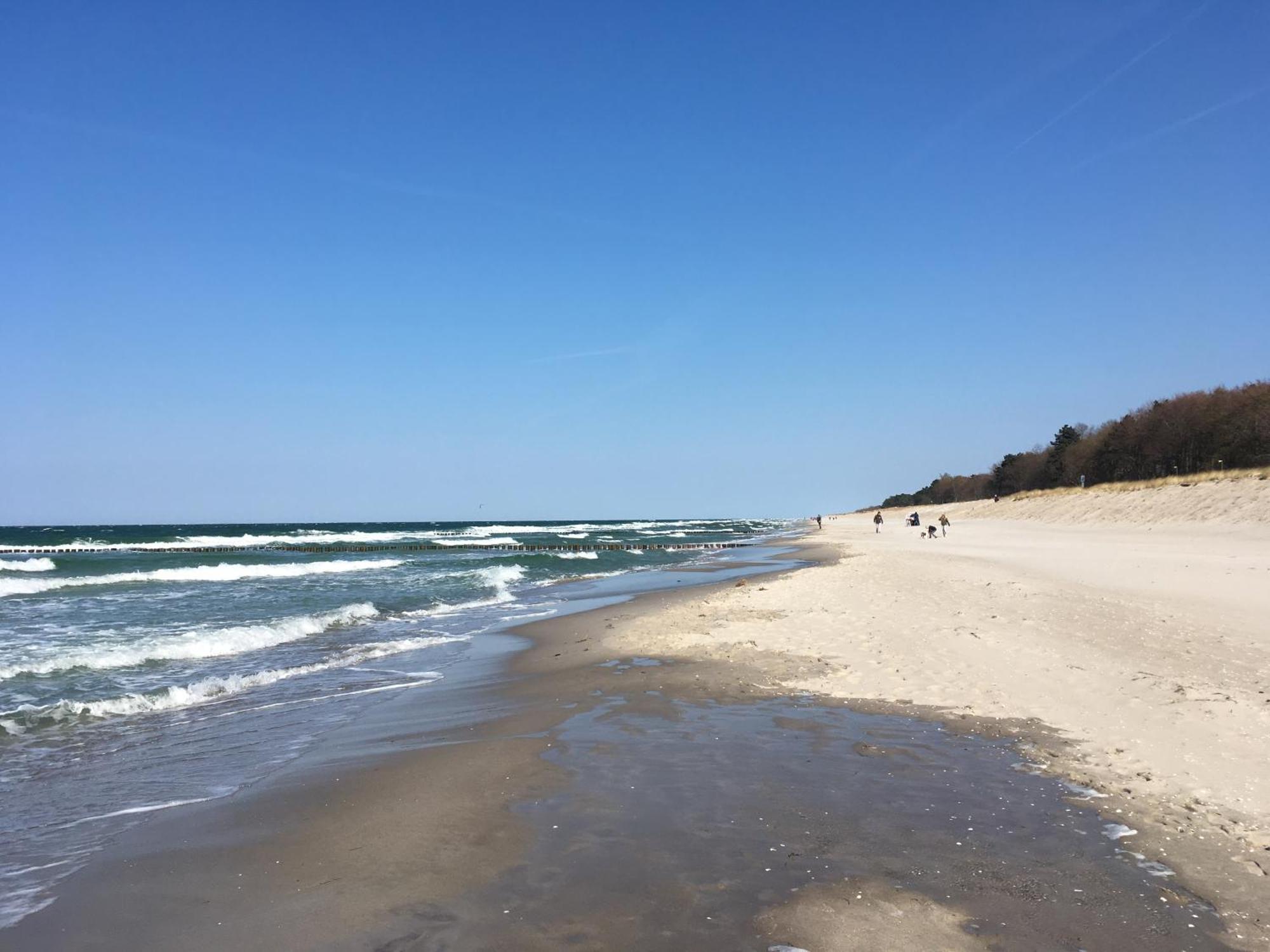 Seepferdchen Zingst Dış mekan fotoğraf
