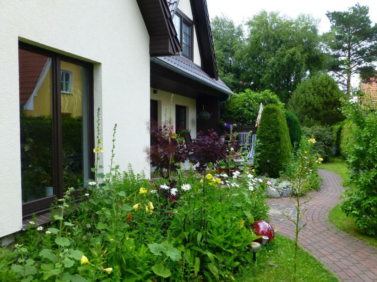 Seepferdchen Zingst Dış mekan fotoğraf